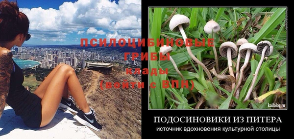 каннабис Новозыбков