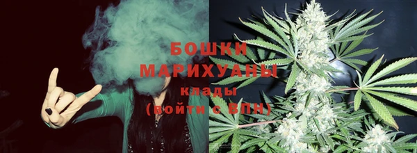 каннабис Новозыбков